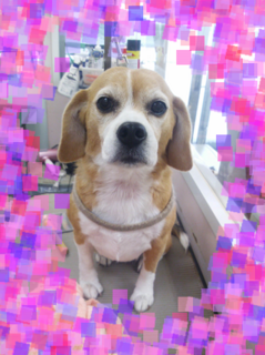 DSC_1838.png