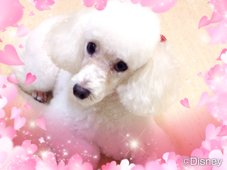 IMG_1053.png