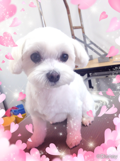 IMG_2772.png