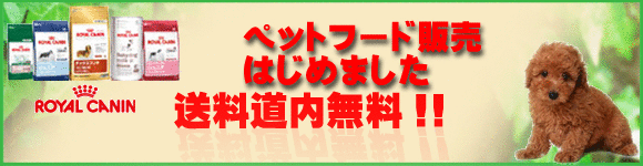 ペットフード
